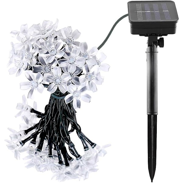 Utendørs solcellelyssnor Mr.Twinklelight 6,5m 50 LED blomstersnorlys med 2 lysmoduser dekorasjonslys