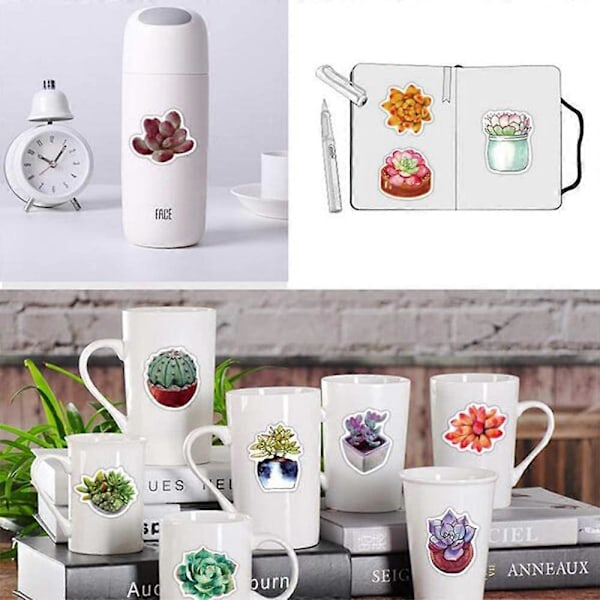 50 st Succulent-dekaler, Estetiska Dekaler, Söta Dekaler, Vinyldekaler, Dekaler för Vattenflaskor, Vattentäta Dekaler, Dekaler för Flickor och Pojkar