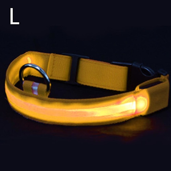 Genopladelig USB LED-halsbånd til hunde - Lys og meget synlig lyshalsbånd til gåture med kæledyr om natten