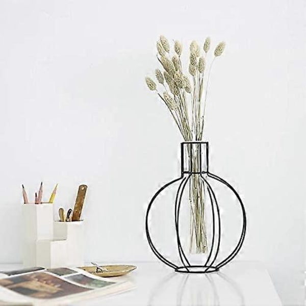 Metallram Vasrör Glasplanter Terrarium med Geometrisk Svart Metallstativ, Kontorsbord Hem & Kontorsdekoration Handgjord (Sfär)