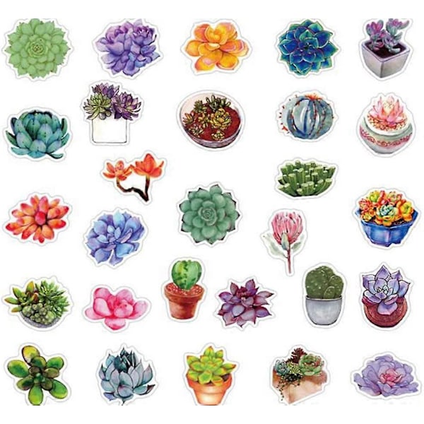 50 st Succulent-dekaler, Estetiska Dekaler, Söta Dekaler, Vinyldekaler, Dekaler för Vattenflaskor, Vattentäta Dekaler, Dekaler för Flickor och Pojkar