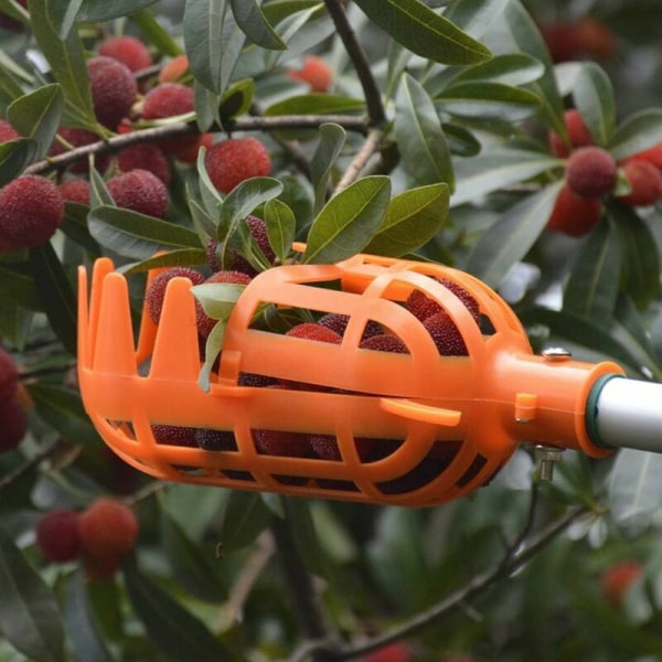 Frugtkurvhoved af plastik Arbejdsbesparende værktøj Saml frugt til høst (orange)