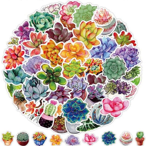 50 st Succulent-dekaler, Estetiska Dekaler, Söta Dekaler, Vinyldekaler, Dekaler för Vattenflaskor, Vattentäta Dekaler, Dekaler för Flickor och Pojkar