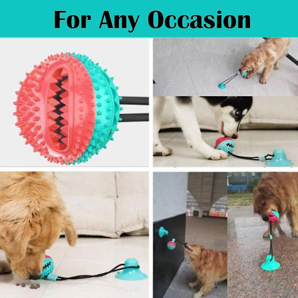 Sugkopp Hund Leksak Dra Leksak Hundboll Tugga Leksak Multifunktion Husdjur Leksak Tand Rengöring