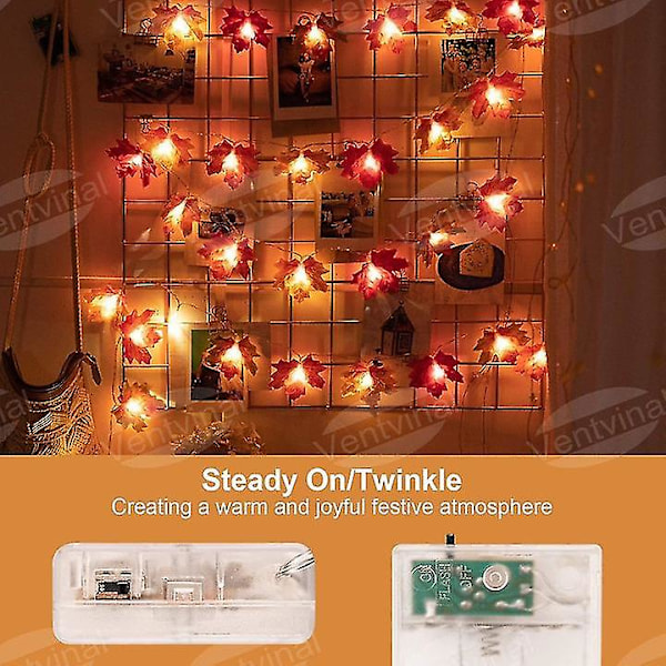 Led dekorative lys 20 ahorn guirlande lys Thanksgiving dekorationer og julelys