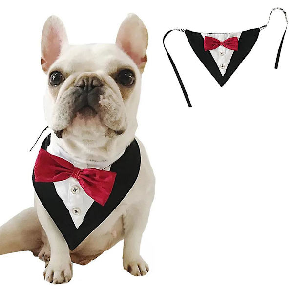 Hieno koiran smokki hääkoiran bandana kaulus koiran kaulus rusettilla