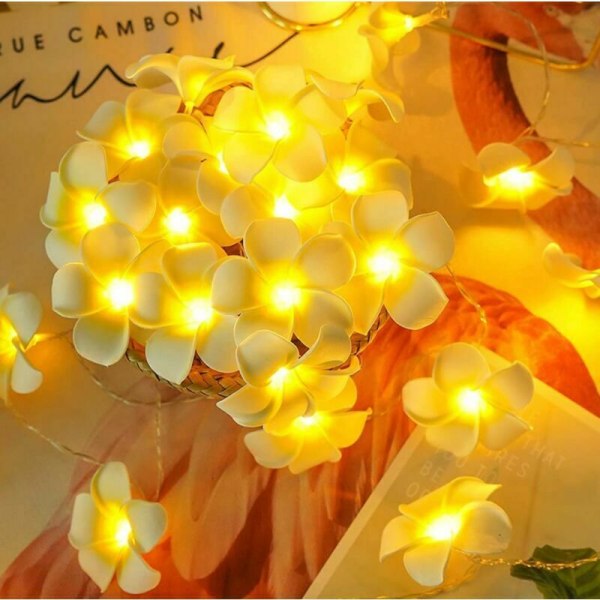 LED Plumeria tekokukkanauhavalot – Havaijin vaahtomuovi Frangipani Flower Light Syntymäpäivän hääjuhla 3AA Powered (9.8FT 20LED)