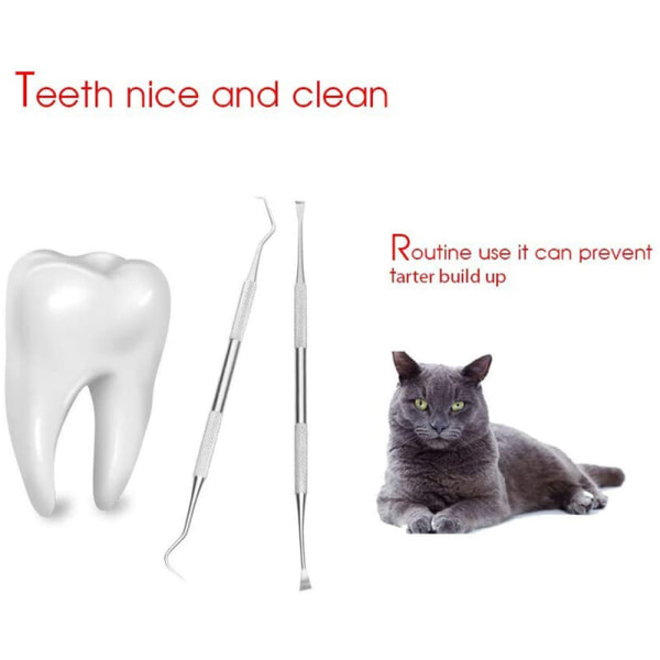 5-osainen set koirankivenpoistoaine koirille ja kissoille, hammaskivenpoistoaine lemmikkeille, hampaiden puhdistustyökalu koirille ja kissoille