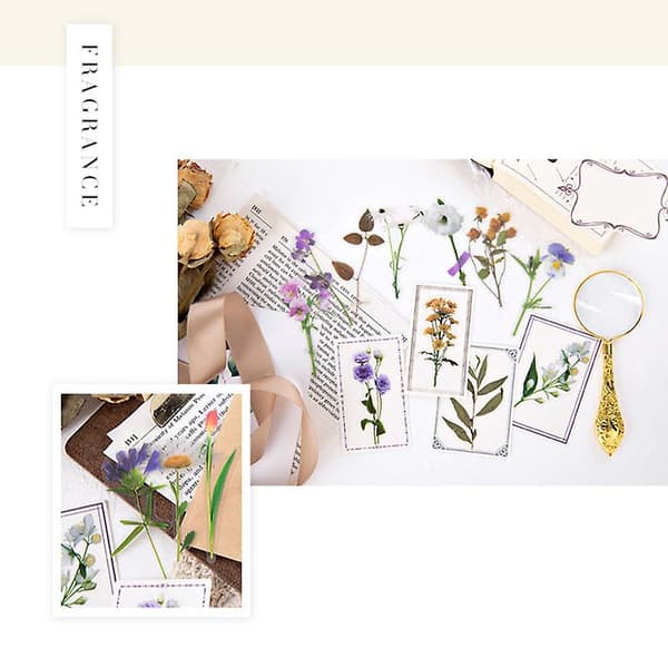 40 stk. Simuleringsblomster Scrapbooking Sticker Pack Planter Serie Transparent Dekal Samling til（D）