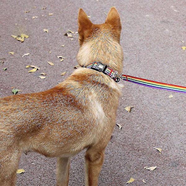 Reflekterende Hundehalsbånd. Passer til små, mellomstore og store hunder (S, farget bånd)