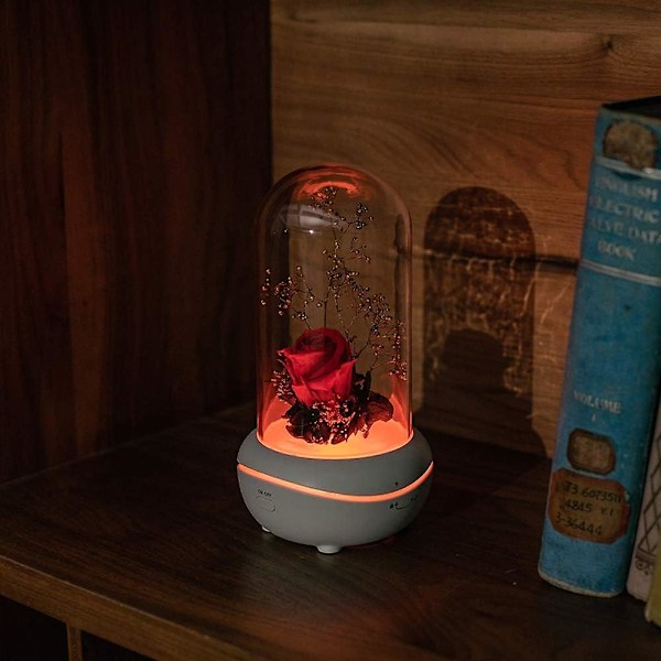 Bevaret duft, bærbar lampe, genopladelig, USB aroma diffuser til hjem, kontor, soveværelse（pink）