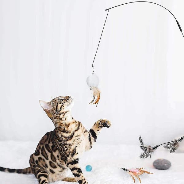 Pet Fit For Life Orme Teaser Og Motion Til Kat Og Killing (Sort)