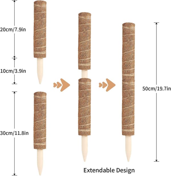 2 st 30 cm kokosnöt inomhus klätterväxtstöd för klätterväxter