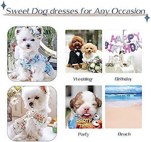 2-pack Hundklänning för Små Hundar, Flickor, Sommar, Husdjurskläder, Söt Blommig Spets, Valp, Katt, Prinsessklänning