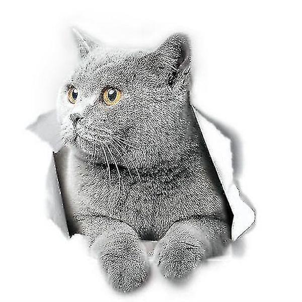 Britisk korthår kat vægklistermærker Britisk korthår kat toilet klistermærke 3d kat bilrude og kofanger klistermærke 2stk