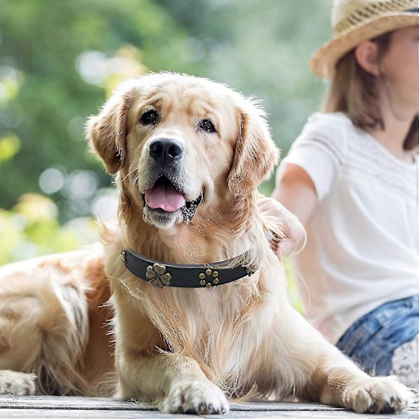 Läderhundhalsband Äkta Läder, Super Mjukt Läder Justerbart Hundhalsband Med Legering Hårdvara Mode Look, Premium Kvalitet, Brun För Små