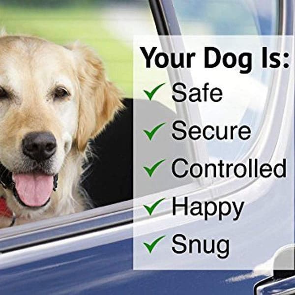 2-pack hund- och kattsele, säkerhetssele för bil, justerbar