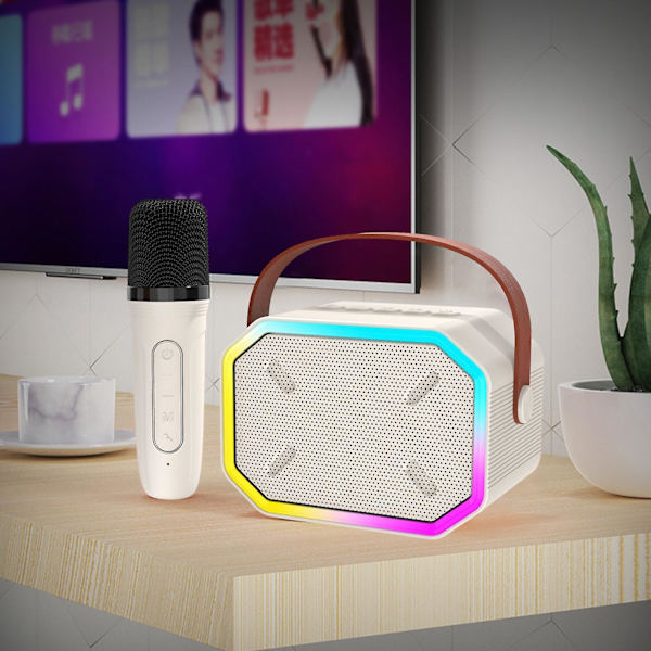 Bluetooth-högtalare Trådlös mikrofon Hemmastereo Karaoke-maskin（En storlek，Vit）