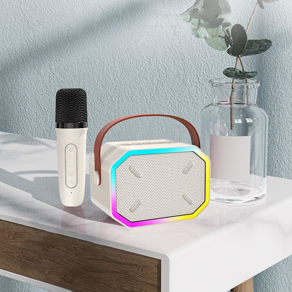 Bluetooth-högtalare Trådlös mikrofon Hemmastereo Karaoke-maskin（En storlek，Vit）