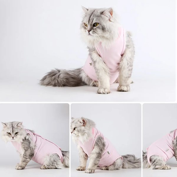 Katt Full Body, Postkirurgisk Väst, Kattväst, Medicinsk Husdjurströja, Kattungekläder, Endast Katter