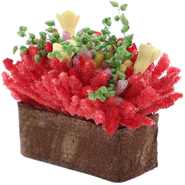 Dockhuskruka Växt Dekoration Miniatyr Bonsai Modell Prydnad Mikrolandskap Liten Växt Dekor（4X3.5X2.5CM，Som Visas）