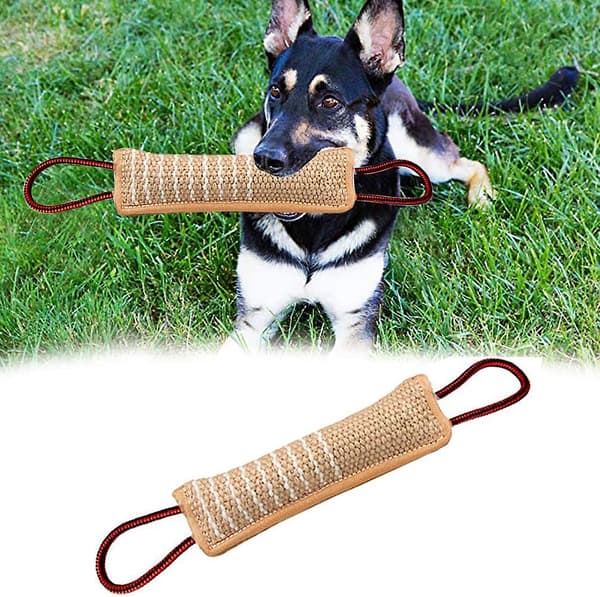 Molar Hamptuggpinne, Bitresistent Träning Hundpinne, Hundtuggpinne, Hundleksak