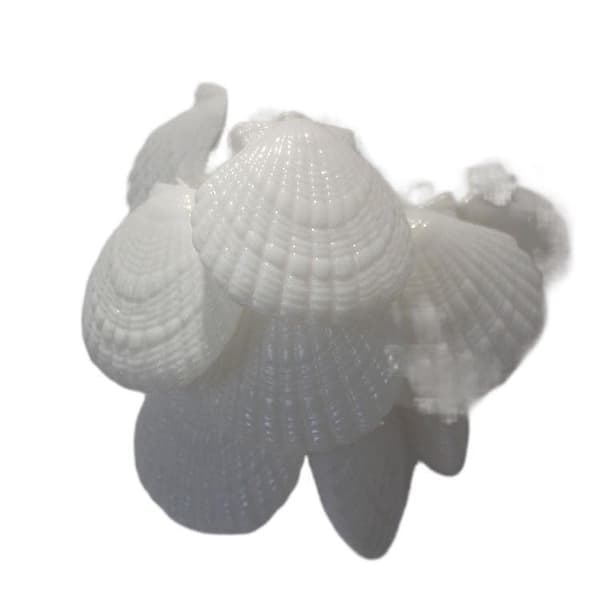 Ocean Seashell 10 LED 1,5 m ljusslinga batteridriven vattentät varmvit för strandtema dekoration