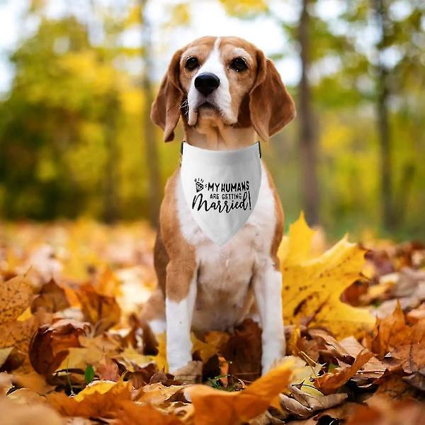 Bryllupshunde bandana, 2-pak, hundesjal, forlovelsesmeddelelse til hunde og katte（B-S）