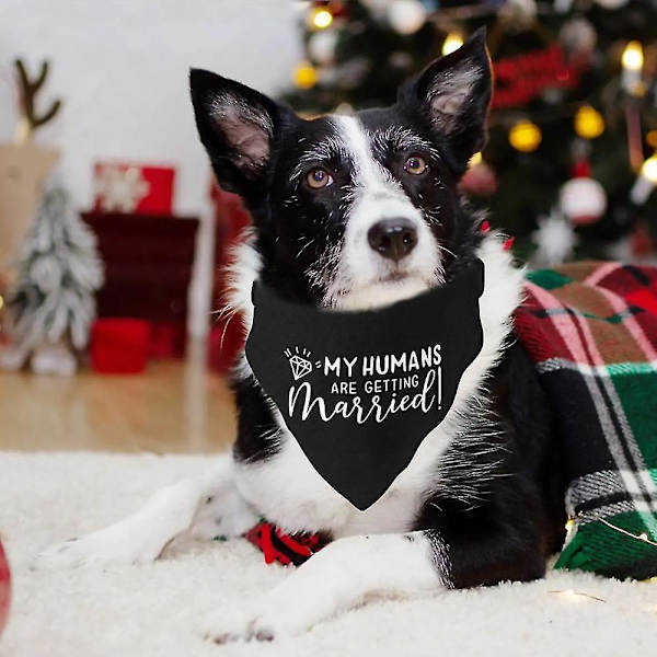 Bryllupshunde bandana, 2-pak, hundesjal, forlovelsesmeddelelse til hunde og katte（B-S）