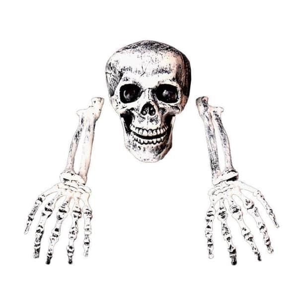 Forfærdelig Halloween Kranie Dekoration - Aueq - Halloween Tilbehør