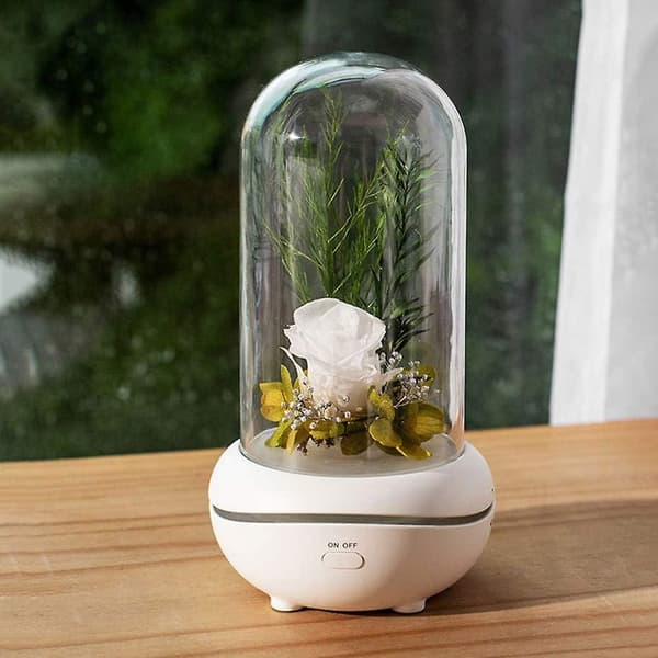 Bærbar lampe genopladelig USB aroma diffuser til hjemmekontor soveværelse-hvid