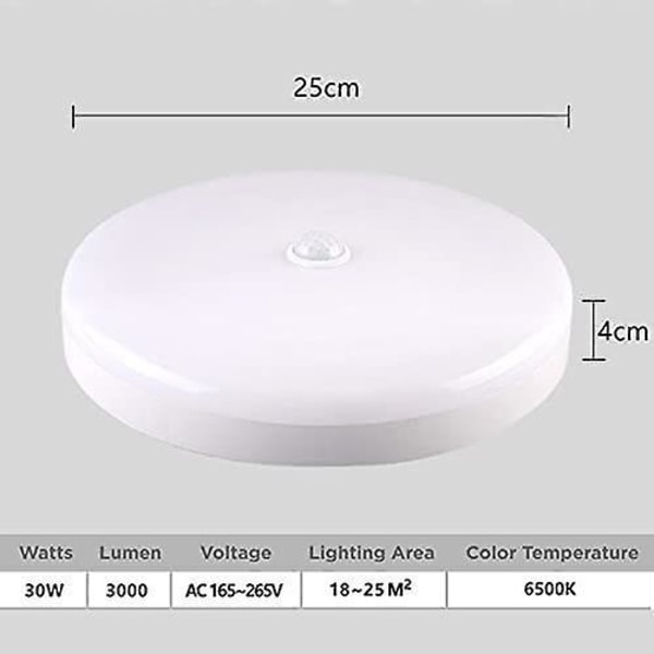 2024, Menneskekropsinduktion loftslampe 18W-0-0