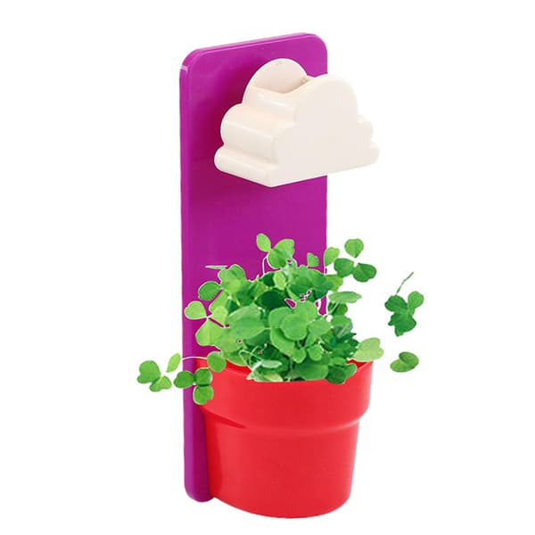 Regnig blomkruka väggmonterade hängande planter med moln duschvattning（Rosa）
