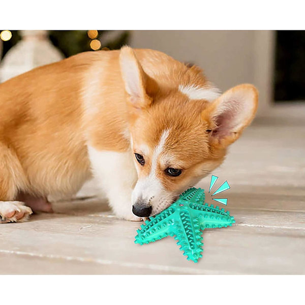 Hunde tyggelegetøj, hundetandbørste, hundetyggelegetøj tygger, Atural gummi tandpleje legetøj (blå)