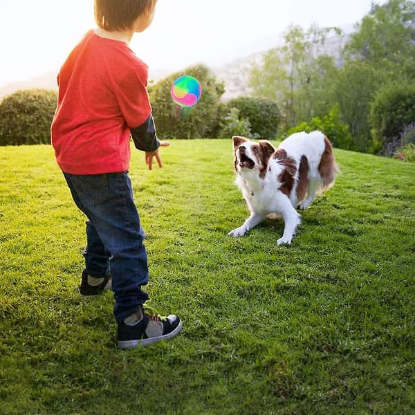 2 stk lysende hundeboller blinkende elastisk ball glød i mørket interaktive kjæledyrleker