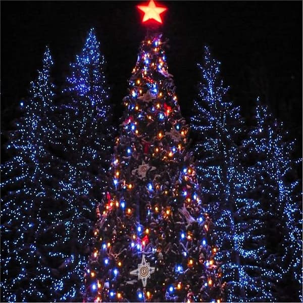 7M 50 LED Ball String Lights, Multicolor String Lights Batteri/USB-drevet Vanntett IP65 2 Lysmoduser med Fjernkontroll Justerbar Lysstyrke,