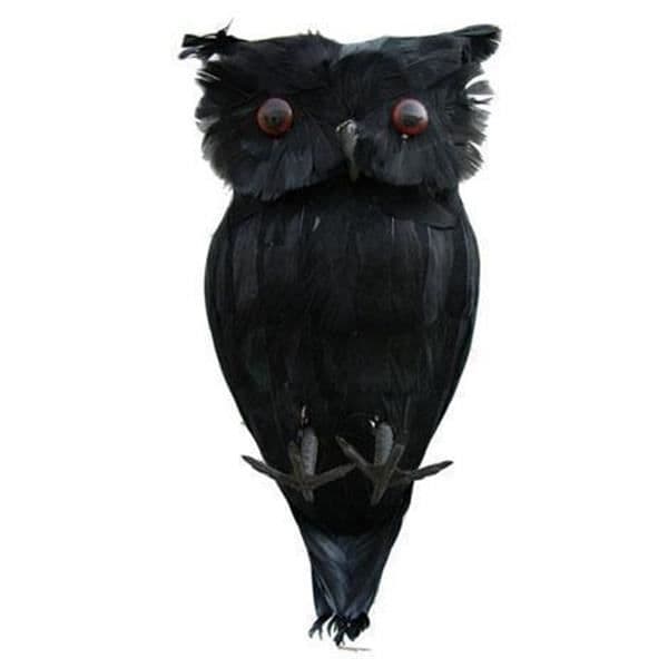 Musta pöllö Halloween-koristeeksi, 28cm