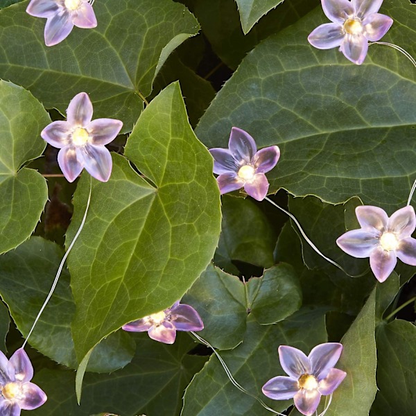20 blommor varmvita mikro LED-ljusslingor