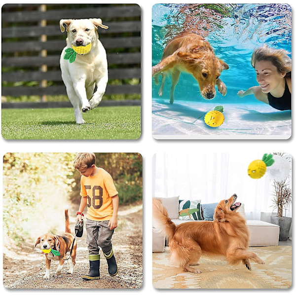 Hundleksak Squeaky Toy för aggressiva tuggare Hund, Tandrengöring Godis Små Hundleksaker