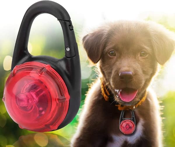 Led Hundehalsbånd til Nattevandring med Lysende Sikkerhedshalskæde til Hunde