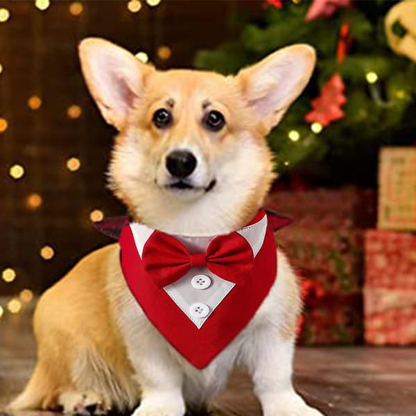 Halsband för hund, formell bröllopsfluga, hundfödelsedagskostym, justerbar, husdjurstuxedo, röd