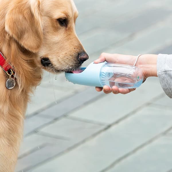 Bärbar vattenflaska för hund, reseutrustning för promenader, vandring (vit, 400 ml, blå)