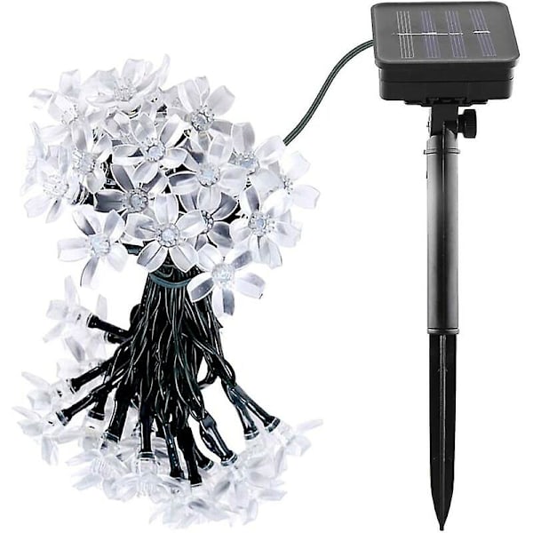 Ulkoilun aurinkokennovalosarja, Mr.twinklelight 6,5 m 50 LED-kukkavalosarja 2 valaistustilalla, koristevalo jouluun, puuhun, puutarhaan, Pati