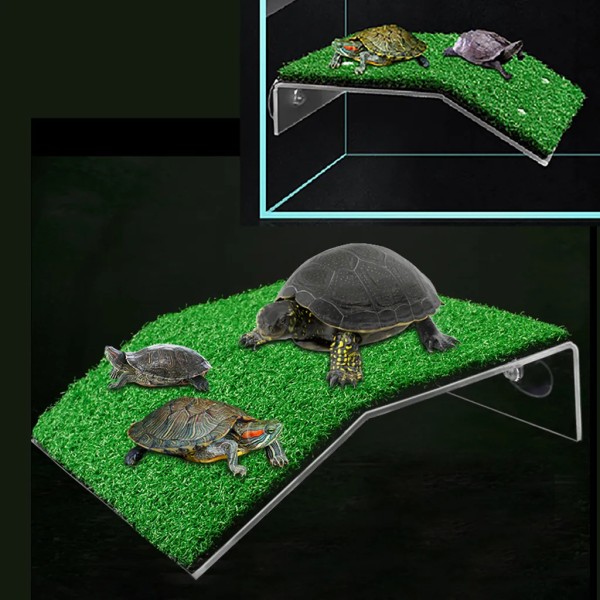 Sköldpaddsramp Sköldpaddsplattform Sköldpaddsramp Reptilstege Aquarium Rest Platform, L