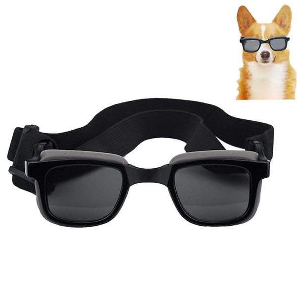 Hundglasögon husdjurssolglasögon ögonskydd vattentät och vindtät svart