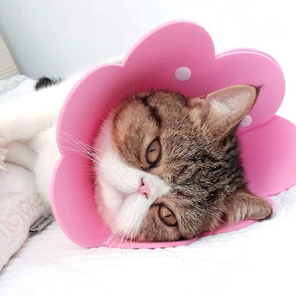 Krage för katt i anti-bitande krage, skyddskrage för katt, krage för katt, sårskydd, krage för katt, justerbar