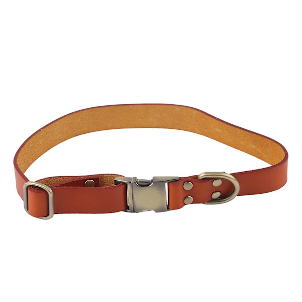 Pehmustettu nahkainen koiranpanta kaiverretulla soljella - Pehmeä ja kestävä pienille, keskisuurille ja suurille kissoille ja koirille - Oranssi, 26-42cm / 10.2-16.5in