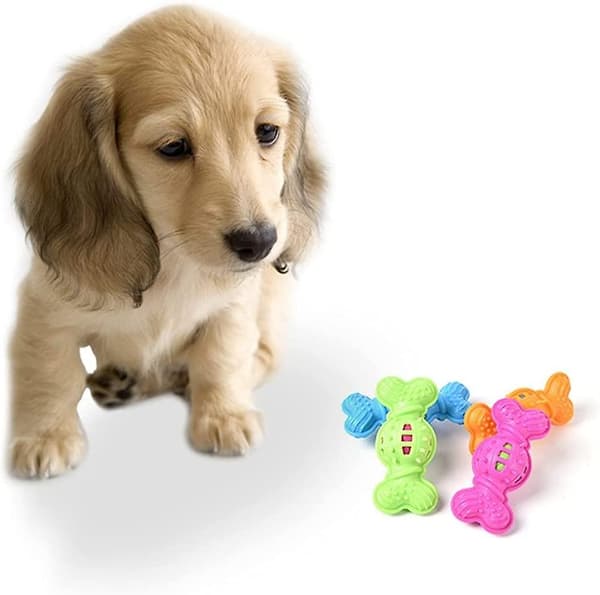 Husdjur Hund Bita Resistent Gummi Molar Leksak Valp Molarer Gummiboll För Tänder Träning Molar