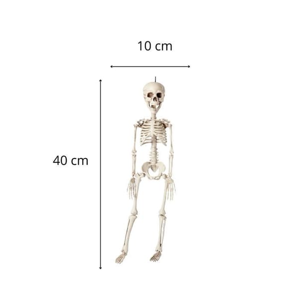 Halloween-dekoration - Hängande plastskelett - Storlek: 40 cm