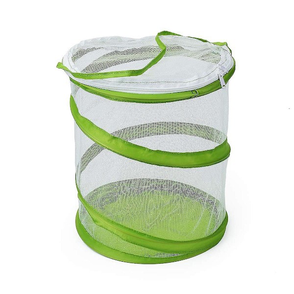 Pop-up insekts- och fjärilshabitatbur Terrarium Genomskinligt nätinneslutning, Se igenom enklare（Grön Vit）